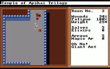 Temple of Apshai Trilogy screen shot game playing